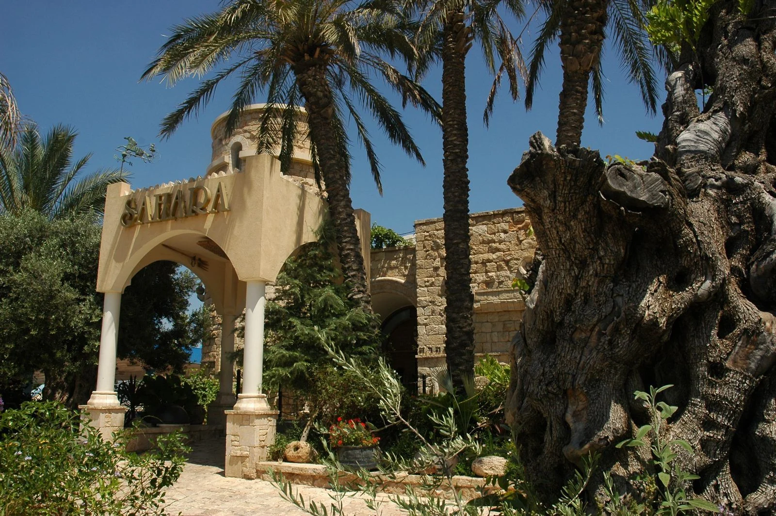 The palm-lined entrance