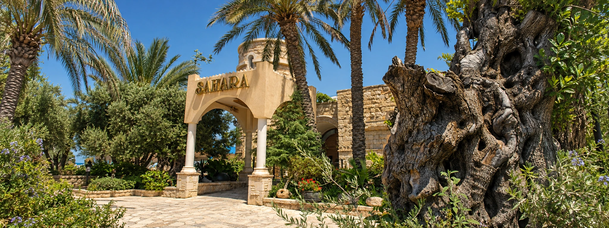 The palm-lined entrance